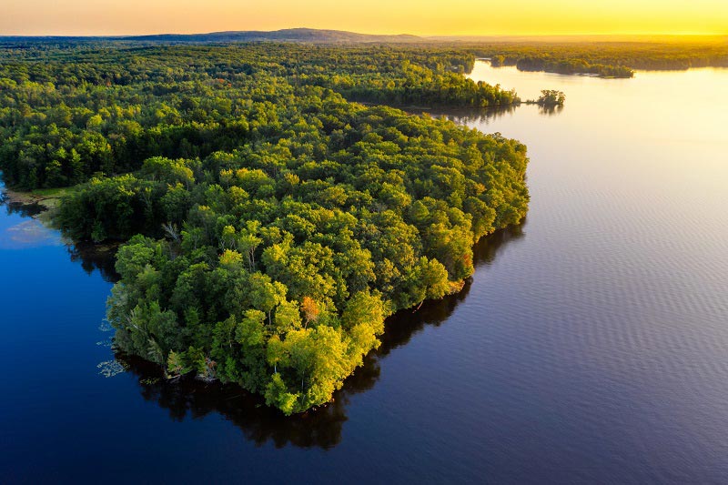 Foto da Floresta Amazônica, um lugar com muitas árvores e mata nativa preservada.